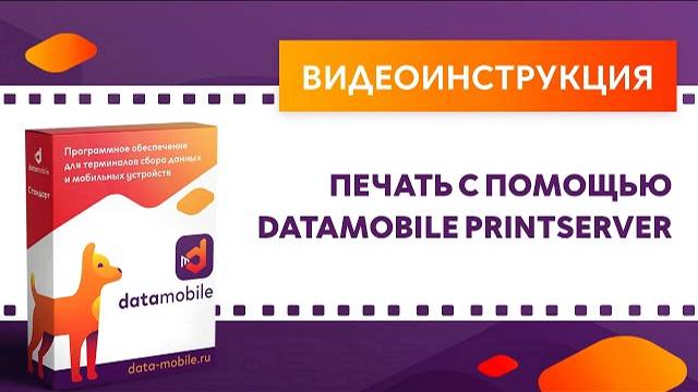 DataMobile3: Печать с помощью DataMobile PrintServer