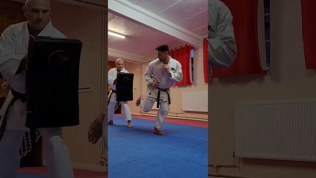 Ushiro Geri (Back kick) #karate #shotokan #kicks #martialarts #karatedo #training #tips #kumite