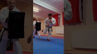 Ushiro Geri (Back kick) #karate #shotokan #kicks #martialarts #karatedo #training #tips #kumite