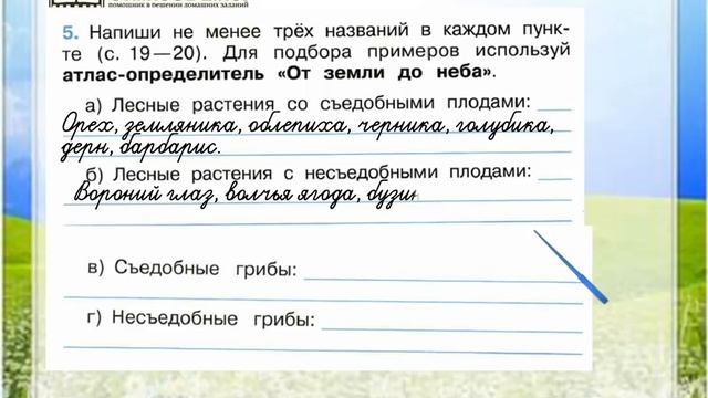 Задание 5 На воде и в лесу - Окружающий мир 2 класс Плешаков А.А. 2 часть