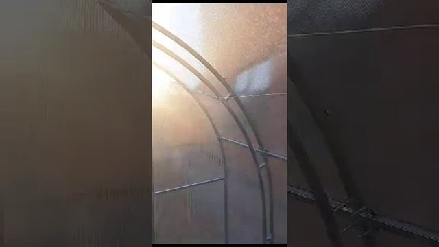 03-07-2023