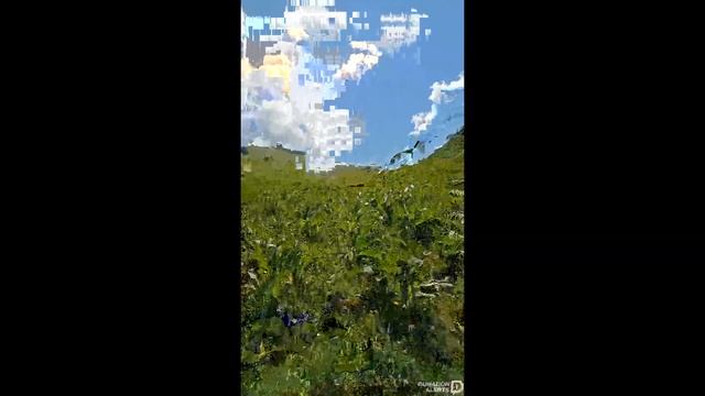 Ковчег Ноя а.с. День, солнце. Левый борт