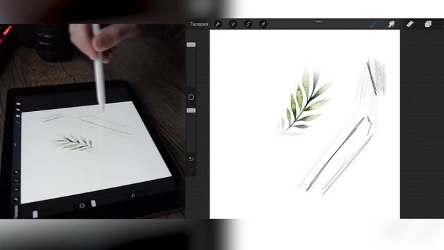 PROCREATE на IPAD. Как пользоваться