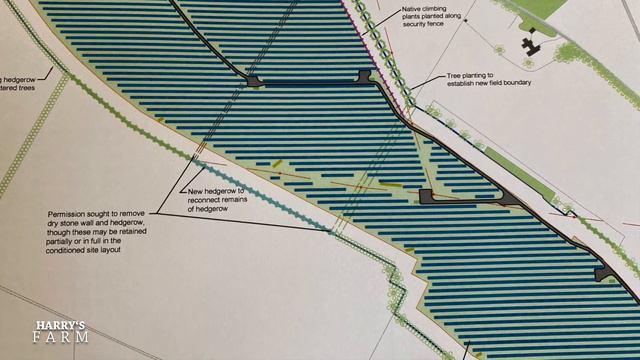 Should I be growing Miscanthus for electricity production instead of growing food?