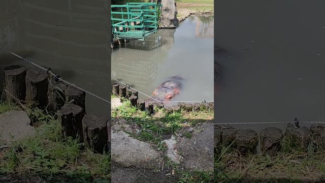 Парк Солнечный остров в Краснодаре