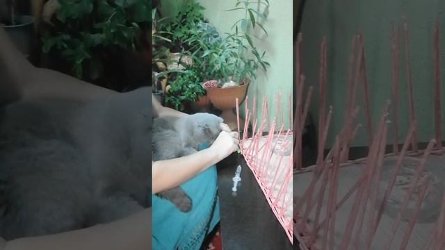 Короб из бумажной лозы 3 часть