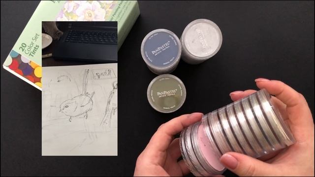 PANPASTEL Преимущество и неудобство эксплуатации пастели. Распаковываем палитру.