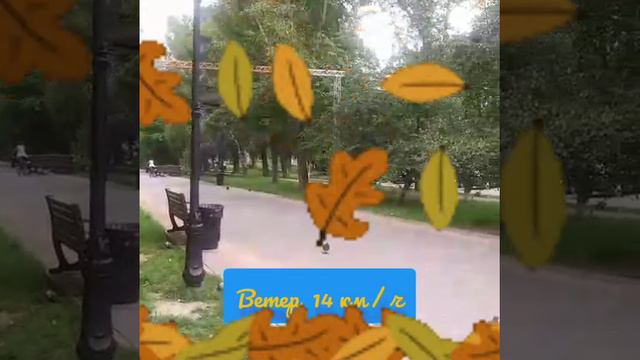 YouCut_20240915_082513647.mp4Барнаул, 15 сентября,  погода