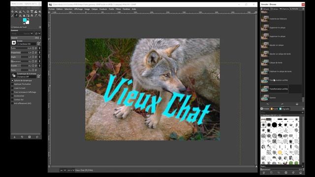 Tutoriel débutant GIMP 2.10.22 : Calques, Masques de calque et divers autres outils