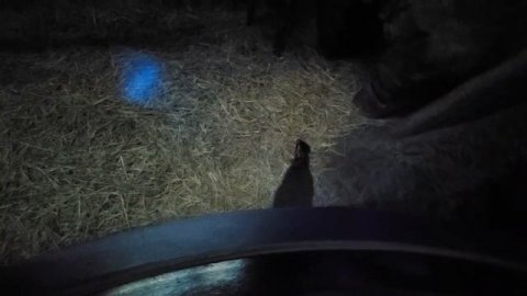 Visit to Wetland Park Hong Kong...