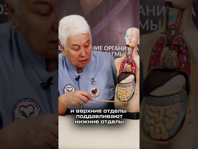 ОПУЩЕНИЕ ВНУТРЕННИХ ОРГАНОВ И ПРОБЛЕМЫ ЖКТ⚡️