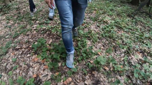 Поход из Печенегов в Черный лес (заказник "Печенежская лесная дача""))