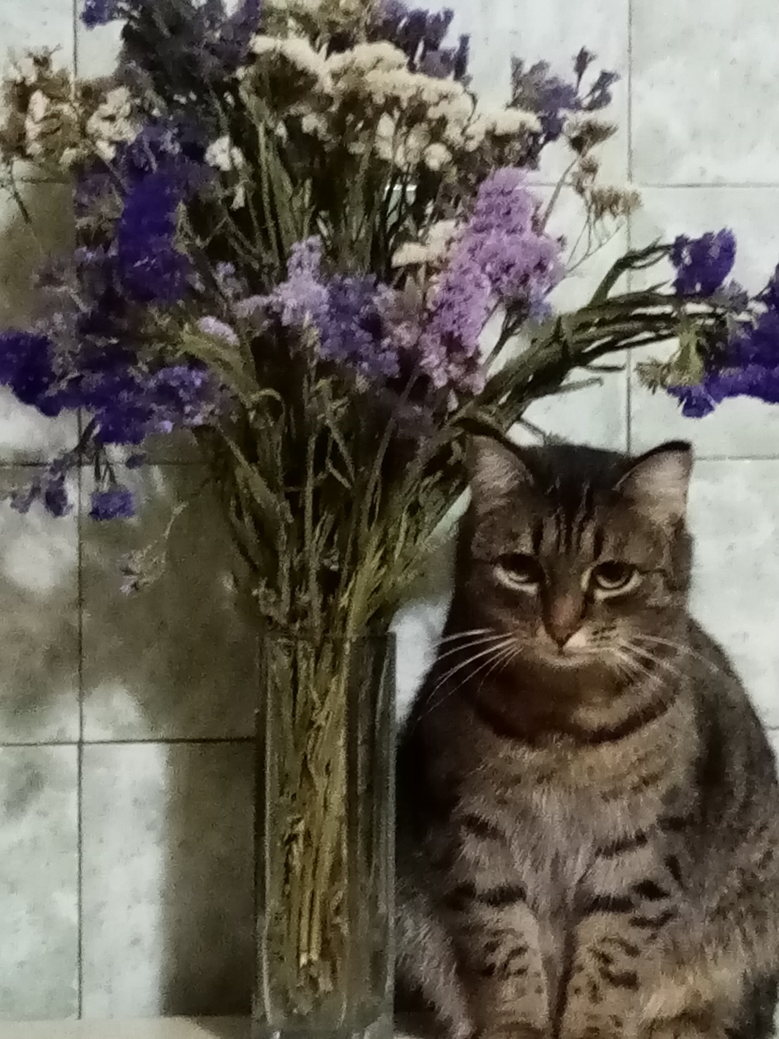Мои подопечные