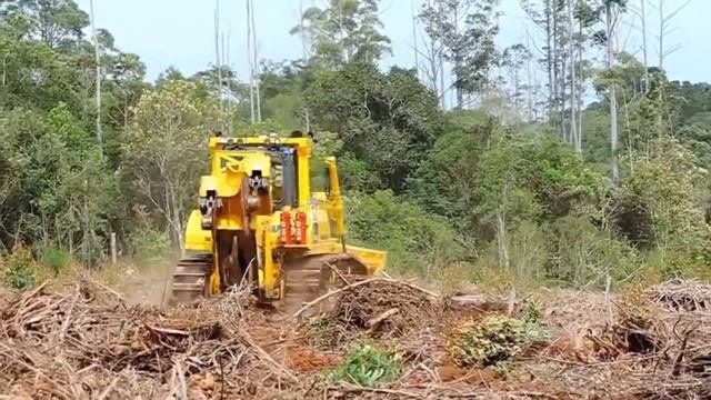 Работа бульдозера / Bulldozer Works