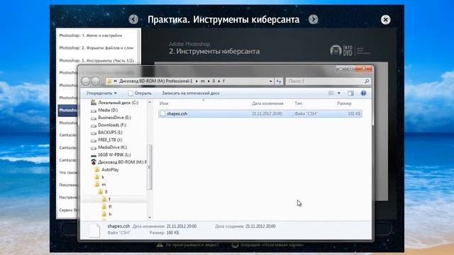 Киберсант - Профессионал. (Анатолий Белоусов, Никита Королёв - Издательство Info-DVD)