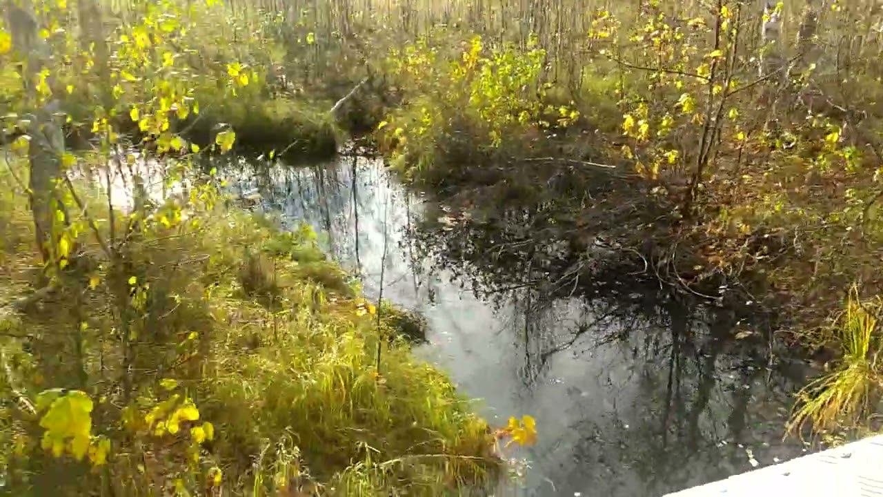 Едем на закрытие сезона жидкой воды,12 Октября 2022 г ч  8