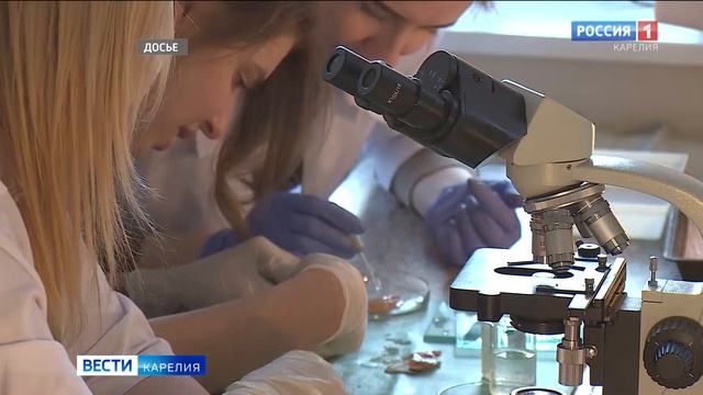 ПетрГУ принял уже более 10 тысяч заявлений от абитуриентов