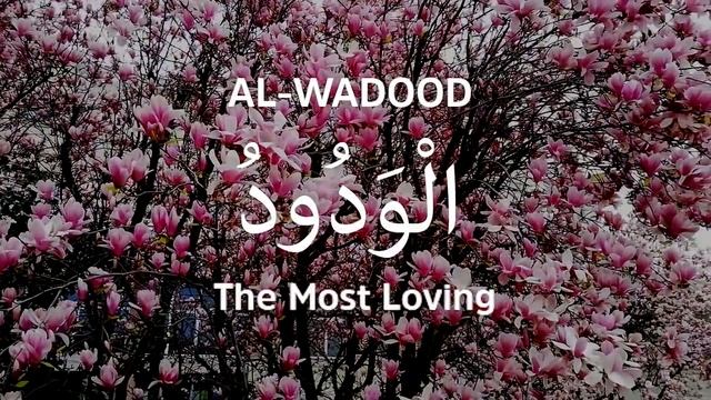 Allah ke 99 naam | Asma ul husna | أسماء الله الحسنى | Allah 99 names