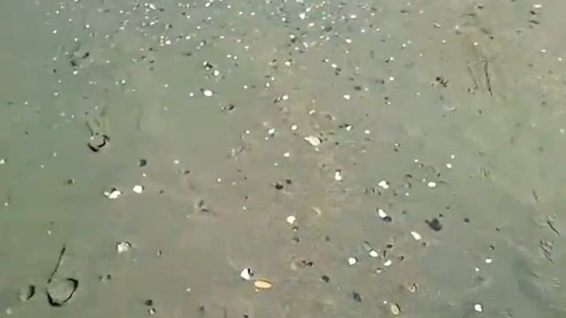 Rincon de La Victoria