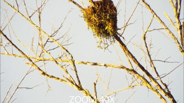 review - photos whit Fujifilm Finepix S8200