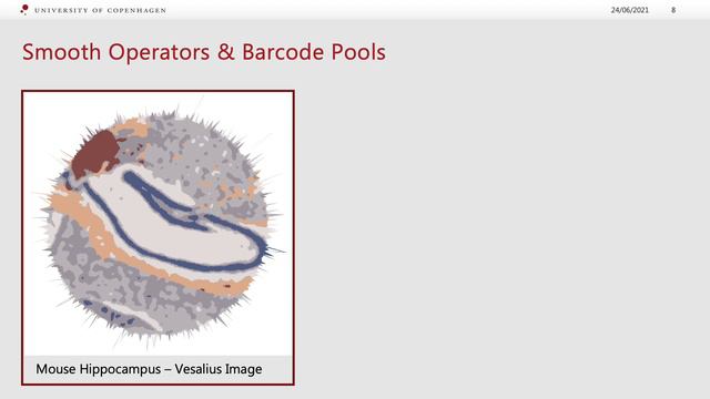 Vesalius: Image-free extraction and analysis of... - Patrick Martin - BioVis - Talk - ISMB/ECCB 202