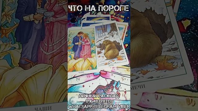 Что на пороге #напороге #чтонапороге #егочувства #впшебудущее #будущее #расклад #таро #таролог