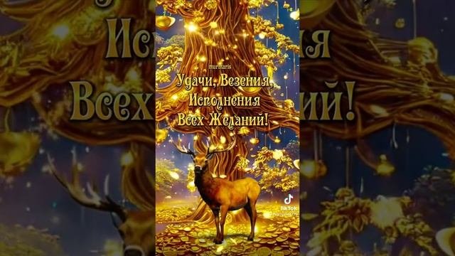 VID-20230321-WA0019.mp4