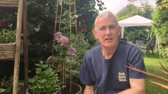 Which Flower Seeds to Sow in June - (inc. Great Pollinators for Your Vegetable Garden!) #82