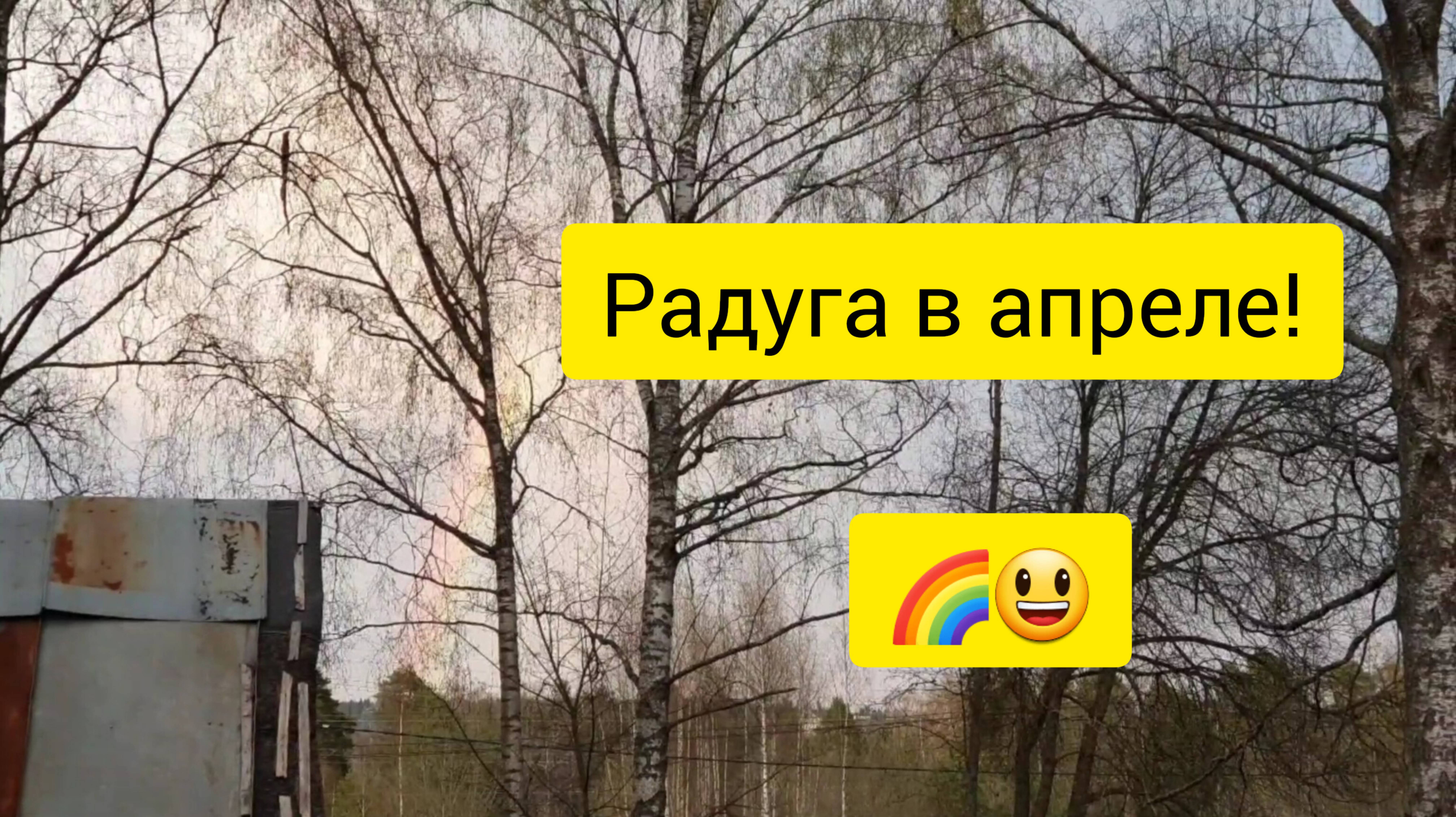 На даче без юмора никак!😆Сею горох!🌿