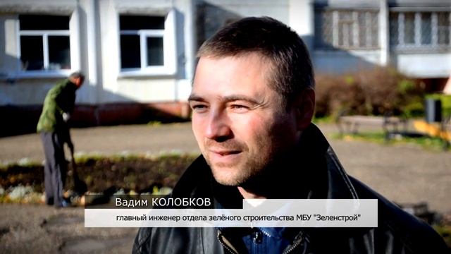В Твери высадят более 88 тысяч луковиц тюльпанов