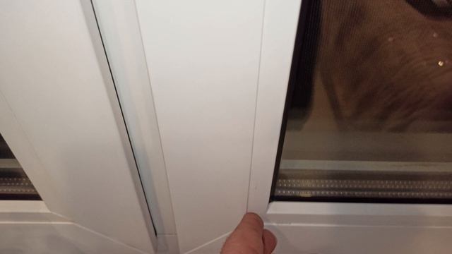 VID_20231103_192852.mp4