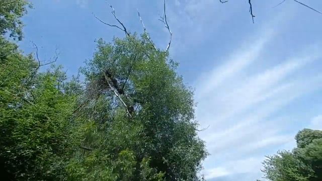 2 дня на рыбалке на фидер ловим подуста  розыгрыш.
