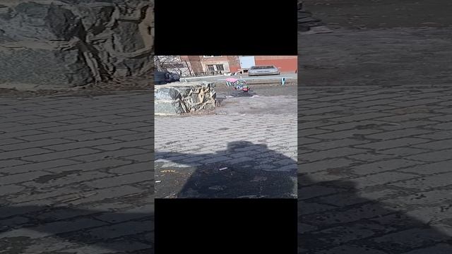 Милашка Вера. Весенняя прогулка
