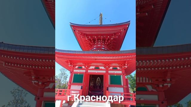1000029828.mp4