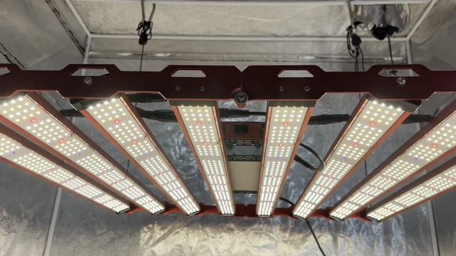 Kingbrite G55 650w