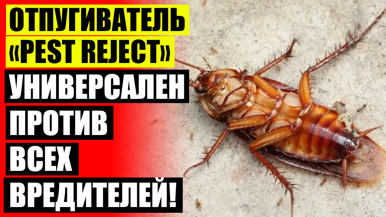 💯 Купить отпугиватель тараканов Новосибирск ⚠ Звуковой отпугиватель животных диких