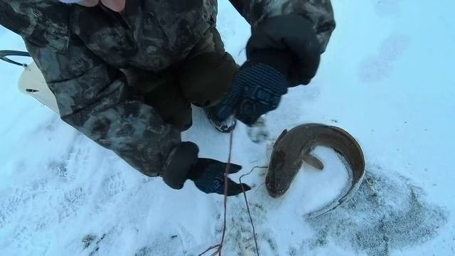 Проверяем    поставушки  с  берега .  +.