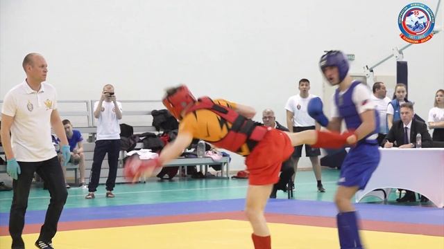 Смешанные единоборства