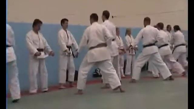 Shotokan Techniques With Risto Kiiskilä