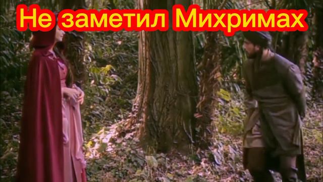 Не заметил Михримах Султан 😏😻/ Тик ток/#михримахсултан # вв #велеколепныйвек