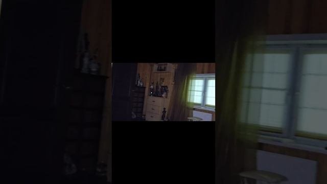ШОНГИ...