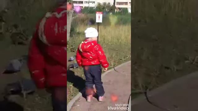 чихапчих