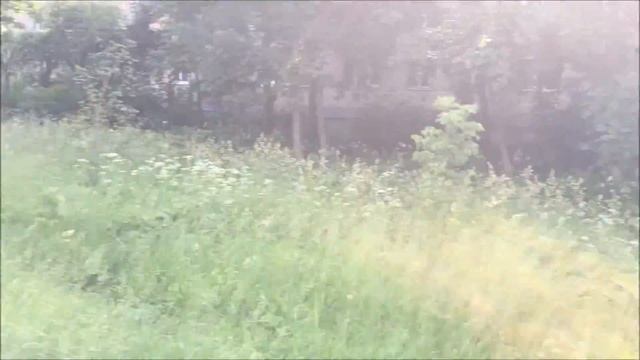 Благоустройство города Солнечногорск #СВОИ