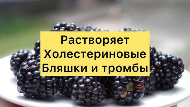 Чем Полезна Ежевика?