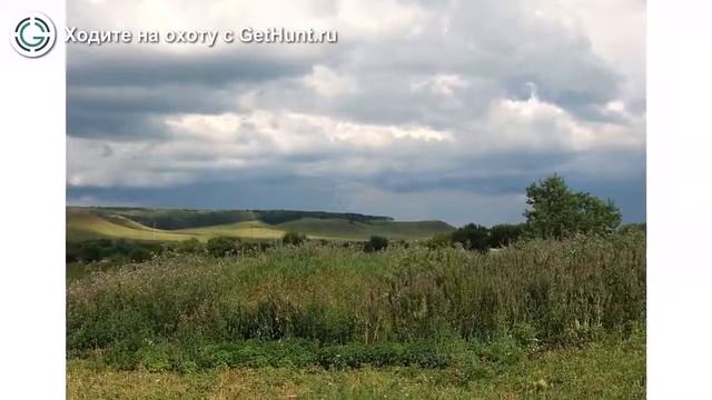 Охота в Самарской области – Охотхозяйство "Пестравка" охота на кабана в Самарской области
