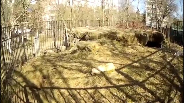 Симферополь.05 03 19г. ДОЛЬМЕН.мегалитдревностипрогулка