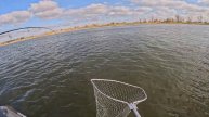 РАЗДАЧА судака Третий день НА ВОДЕ ЛОВИМ около моста КАЛАЧ-на--ДОНУ