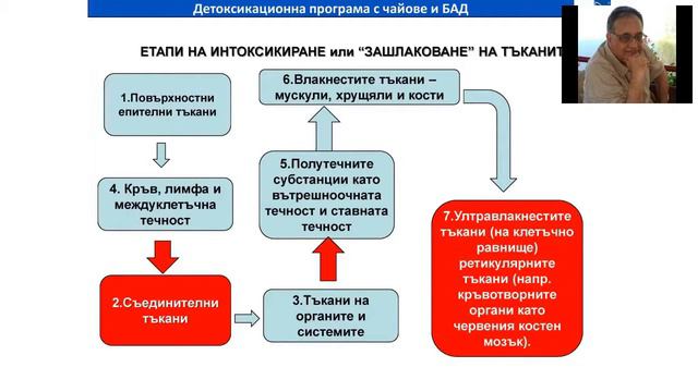 2017 06 29 Детоксикационна програма Вангел Панов 1част