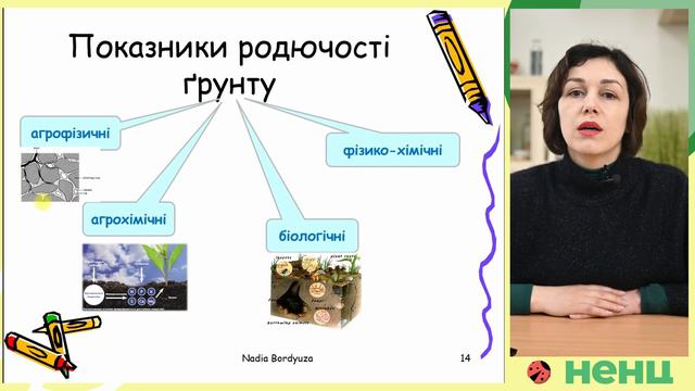 Родючість грунтів