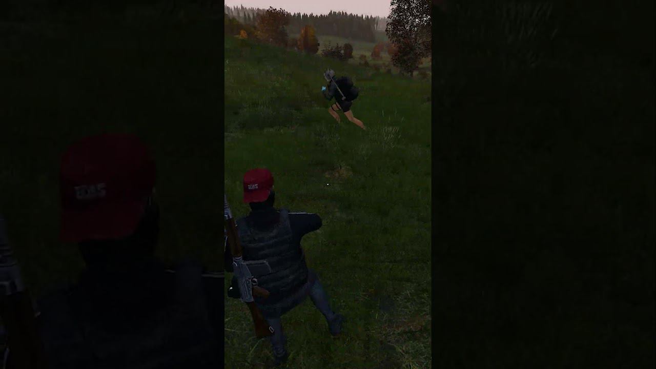 Забрал целый клан в DayZ #shorts #dayz #dayzstandalone #дейз #dayzgameplay